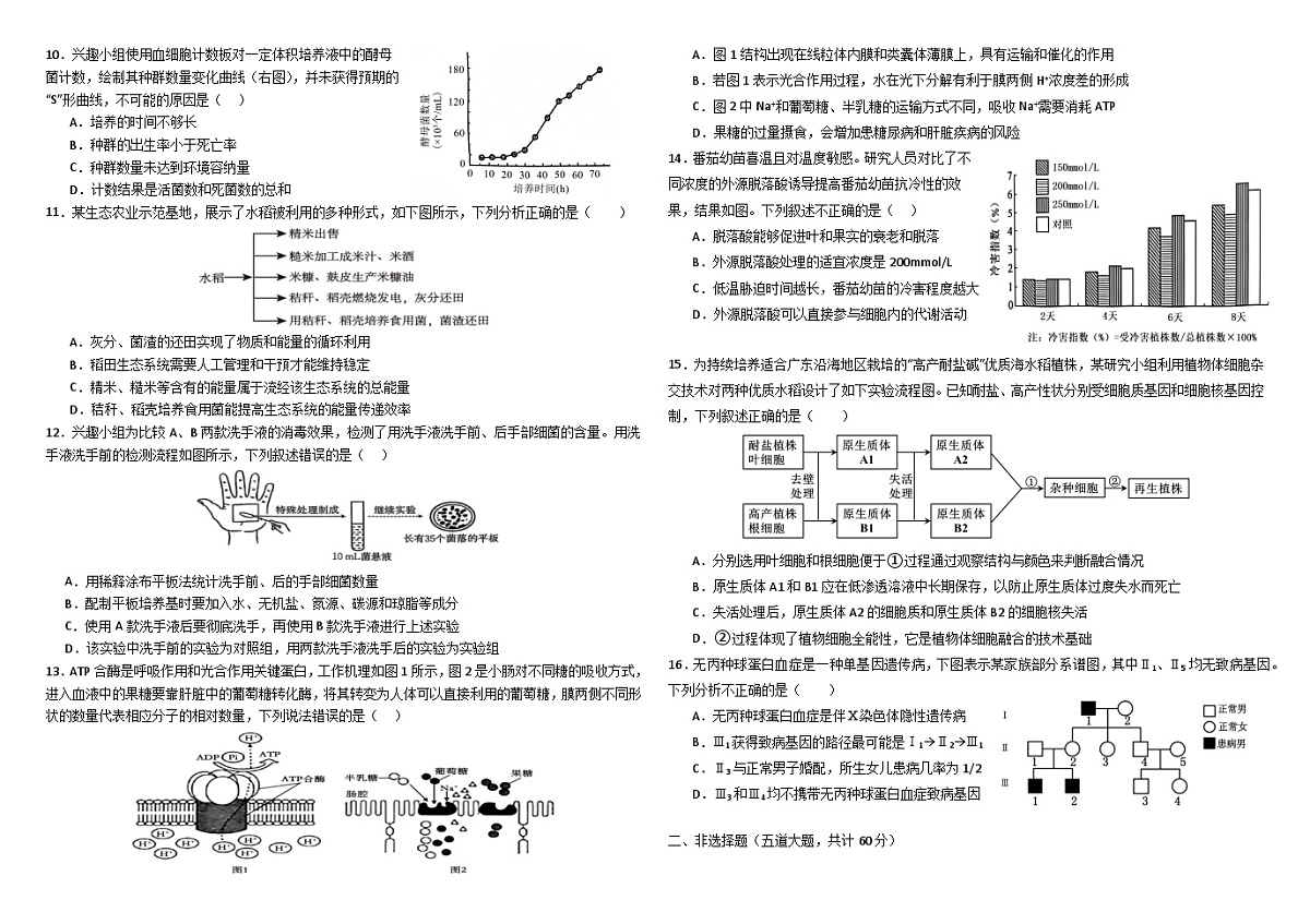 广东省东莞市第四高级中学2024-2025学年高三下学期2月月考生物试题第2页
