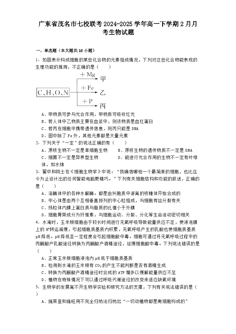 广东省茂名市七校联考2024-2025学年高一下学期2月月考生物试题第1页