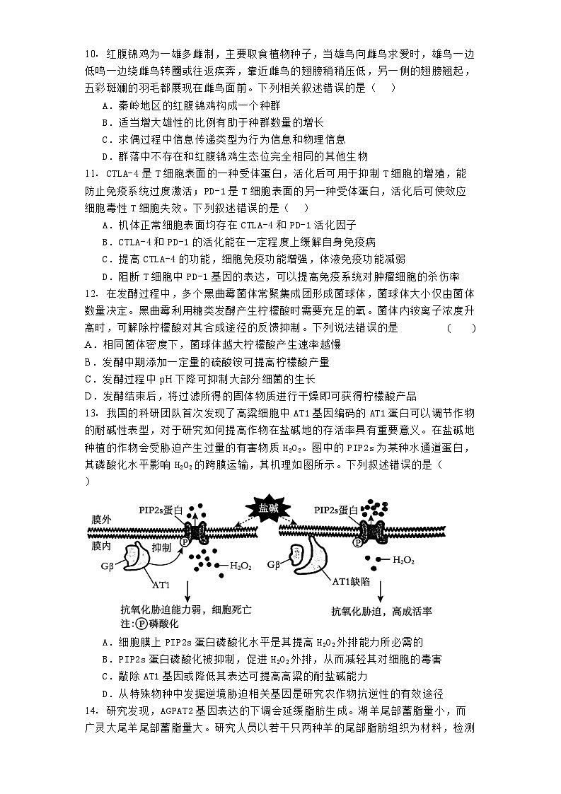广东省汕头市金山中学2024-2025学年高三上学期期末考试生物试卷第3页