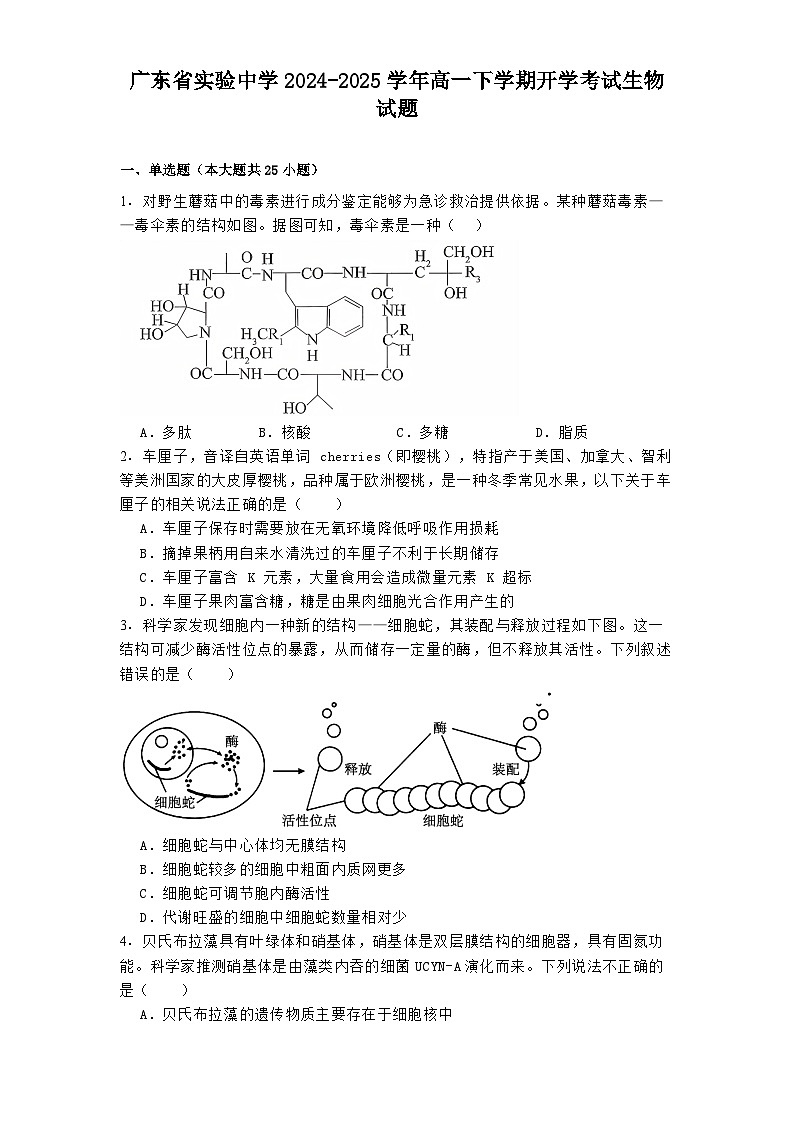 广东省实验中学2024-2025学年高一下学期开学考试生物试题第1页