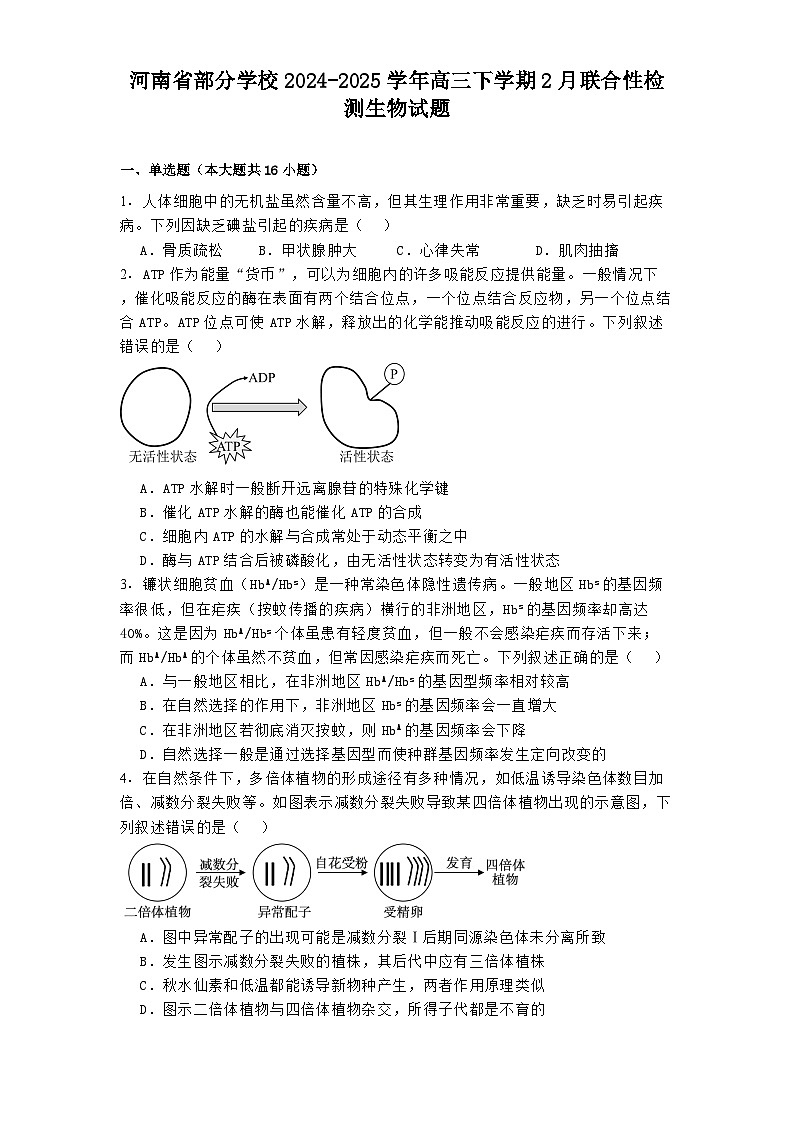 河南省部分学校2024-2025学年高三下学期2月联合性检测生物试题第1页