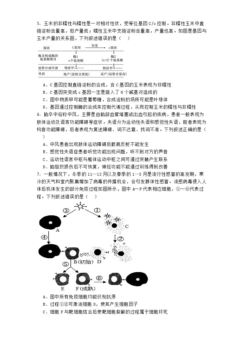 河南省部分学校2024-2025学年高三下学期2月联合性检测生物试题第2页