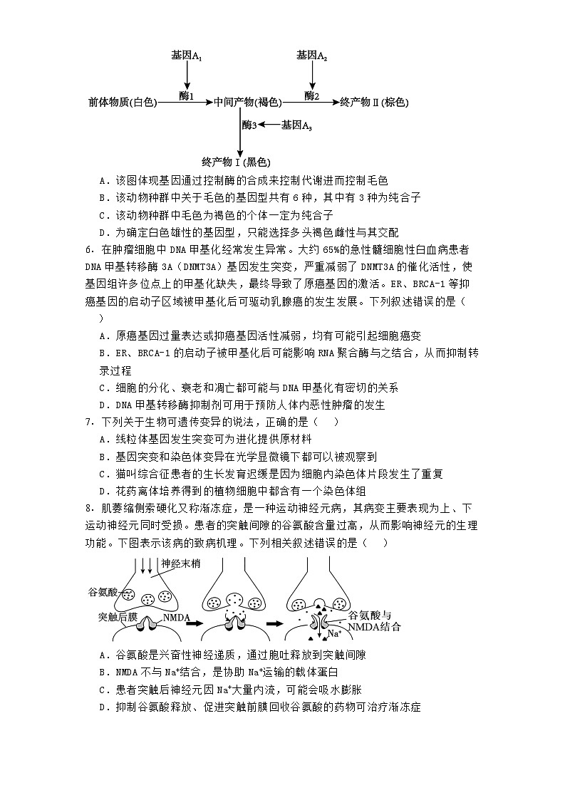 河南省驻马店市2024-2025学年高三下学期3月模拟生物试题第2页