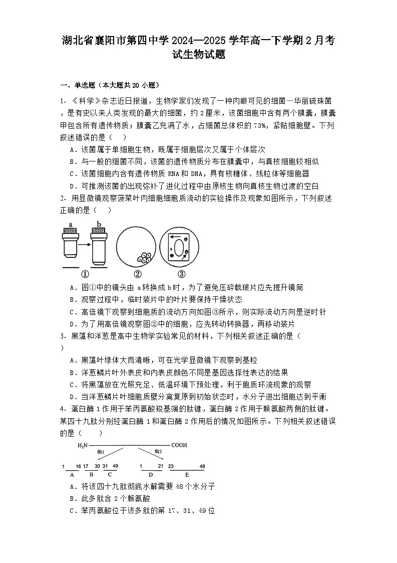 湖北省襄阳市第四中学2024—2025学年高一下学期2月考试生物试题第1页