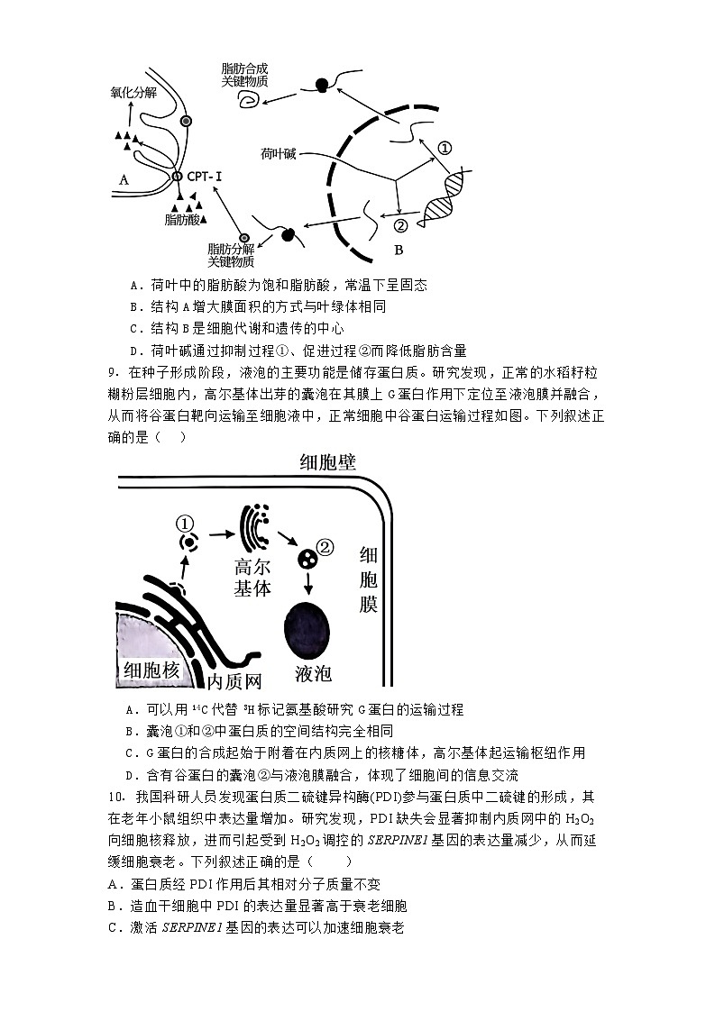 湖北省襄阳市第四中学2024—2025学年高一下学期2月考试生物试题第3页