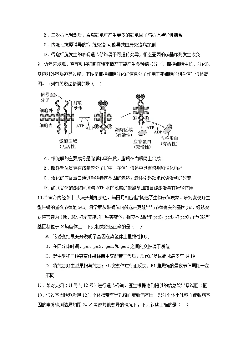 四川省成都市郫都区2024—2025学年高三下学期阶段性检测（三）生物试题第3页