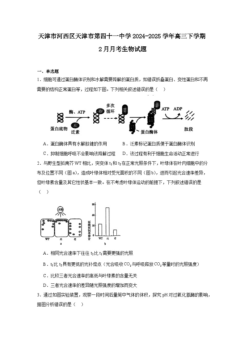 天津市第四十一中学2024-2025学年高三下学期2月月考生物试题第1页