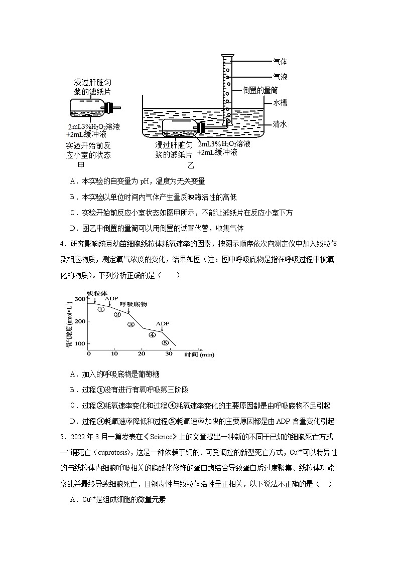 天津市第四十一中学2024-2025学年高三下学期2月月考生物试题第2页