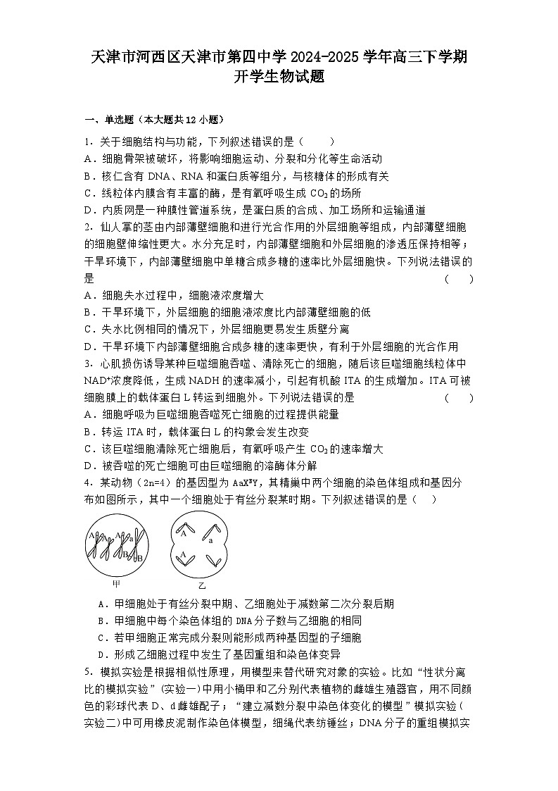 天津市河西区天津市第四中学2024-2025学年高三下学期开学生物试题第1页