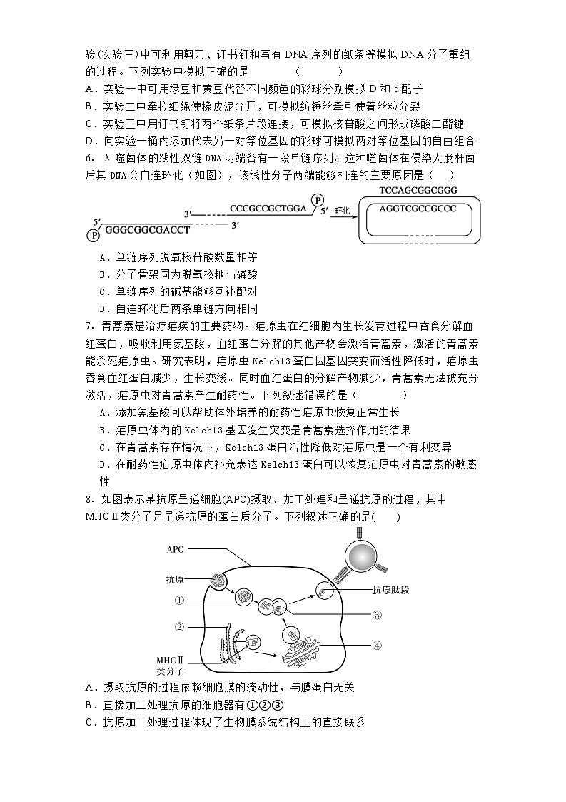 天津市河西区天津市第四中学2024-2025学年高三下学期开学生物试题第2页