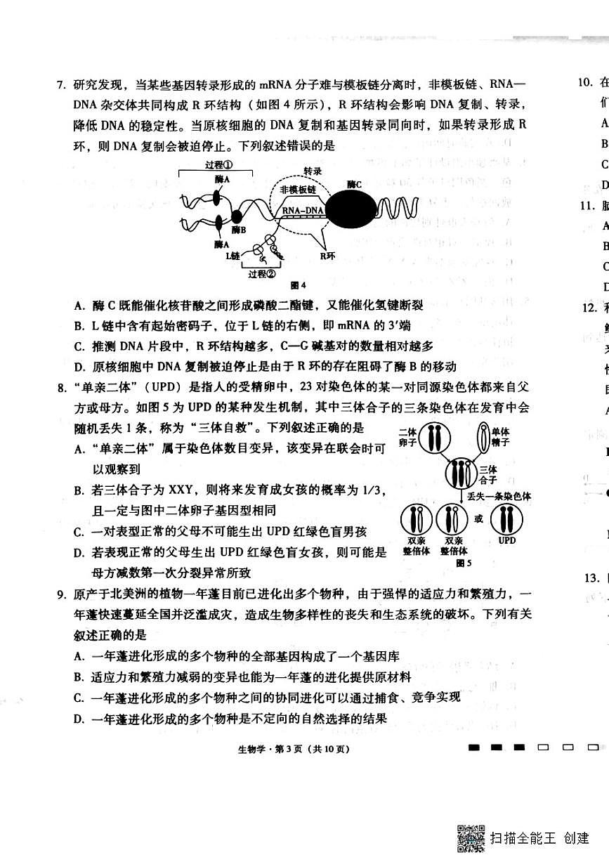 2024届巴蜀中学高三上(12月考)-生物试题（含答案）第3页