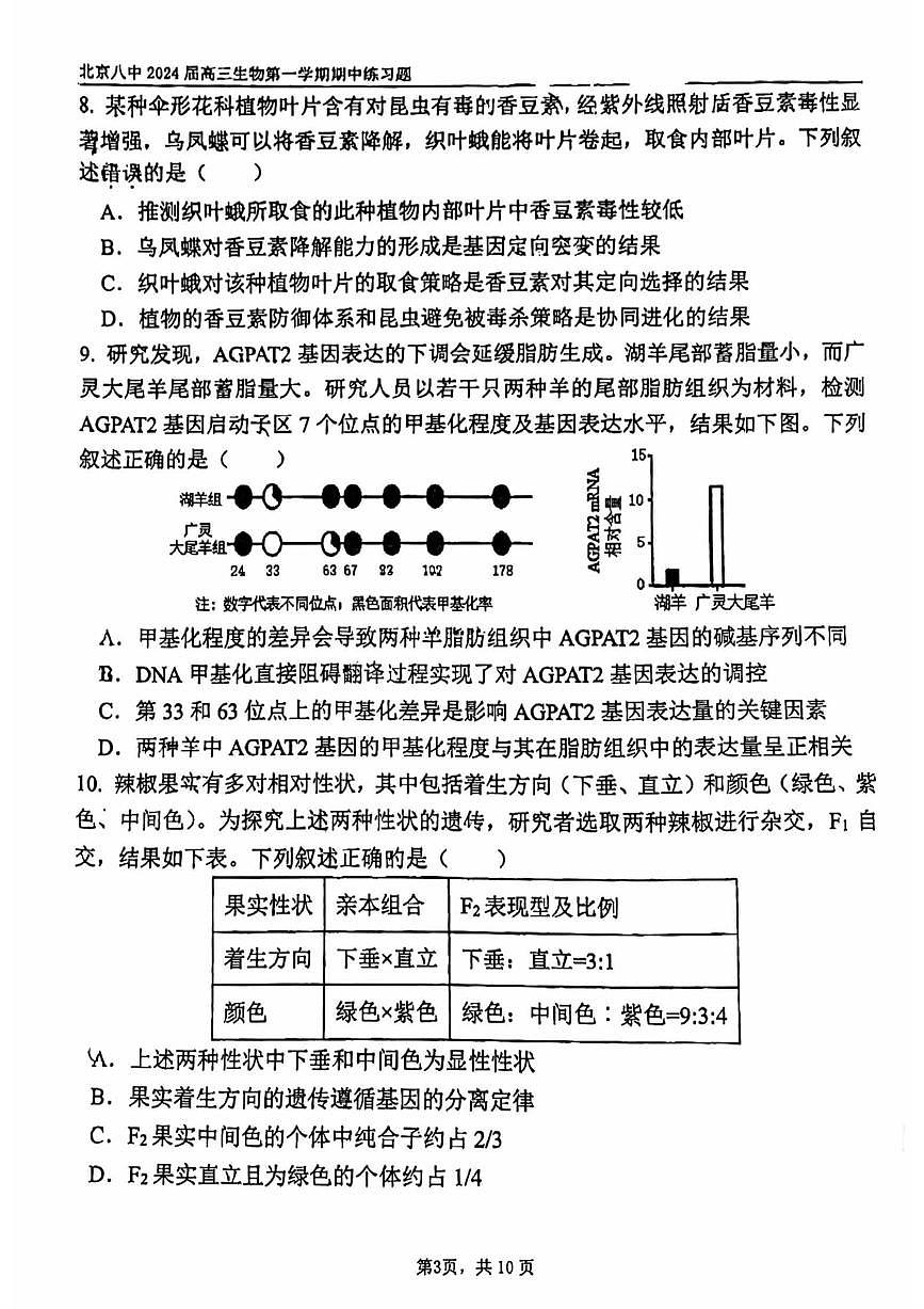 2024届北京八中高三上(11月期中)-生物试题（含答案）第3页