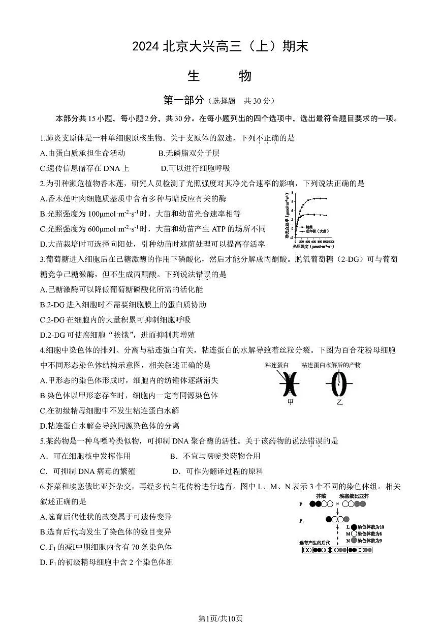 2024届北京市大兴区高三上(1月)期末试卷-生物试题（含答案）第1页