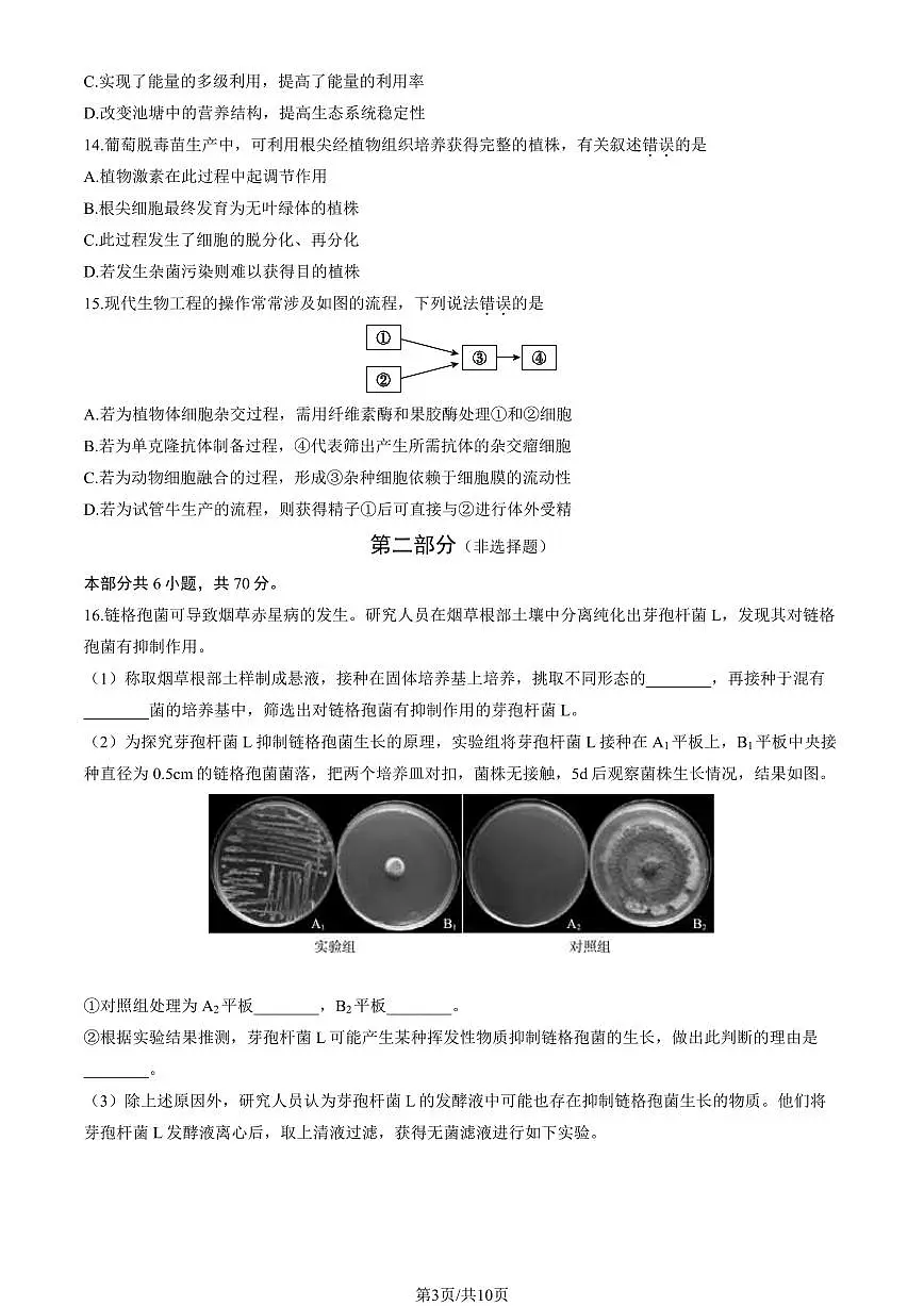 2024届北京市大兴区高三上(1月)期末试卷-生物试题（含答案）第3页