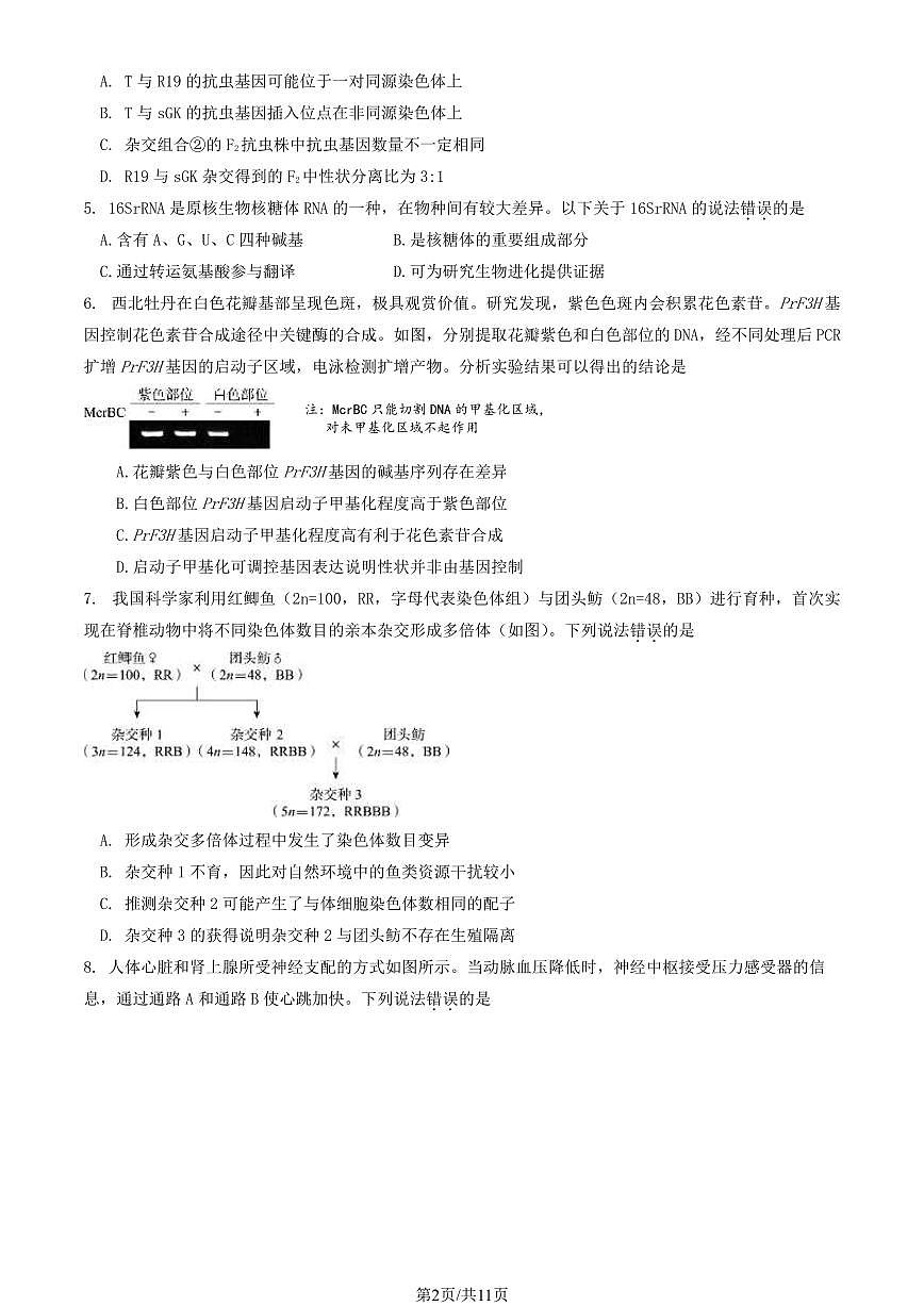2024届北京市东城区高三一模-生物试卷（含答案）第2页