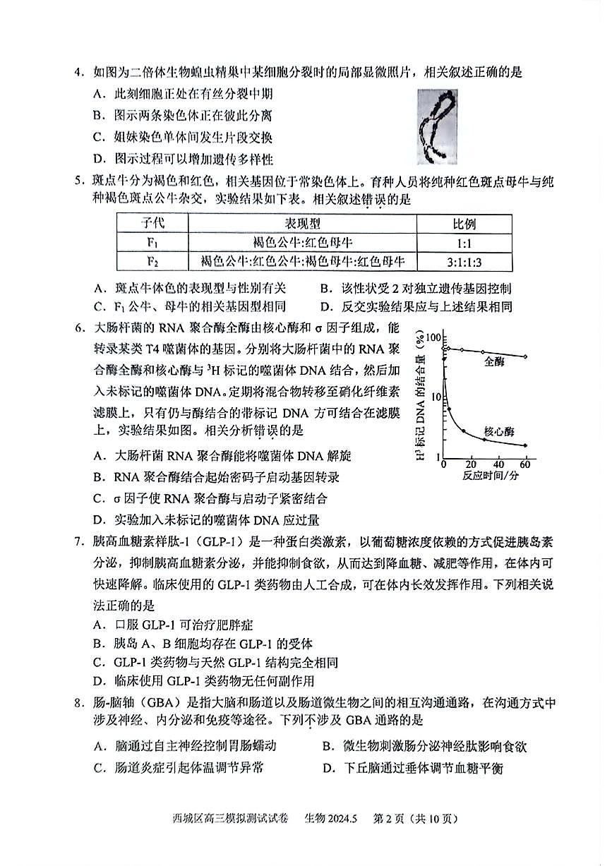 2024届北京西城区高三二模-生物试卷（含答案）第2页