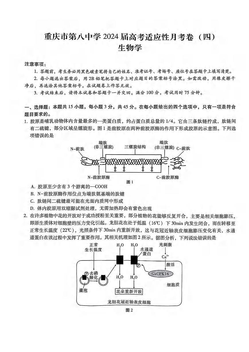 2024届重庆八中高三上(12月考)-生物试题（含答案）第1页