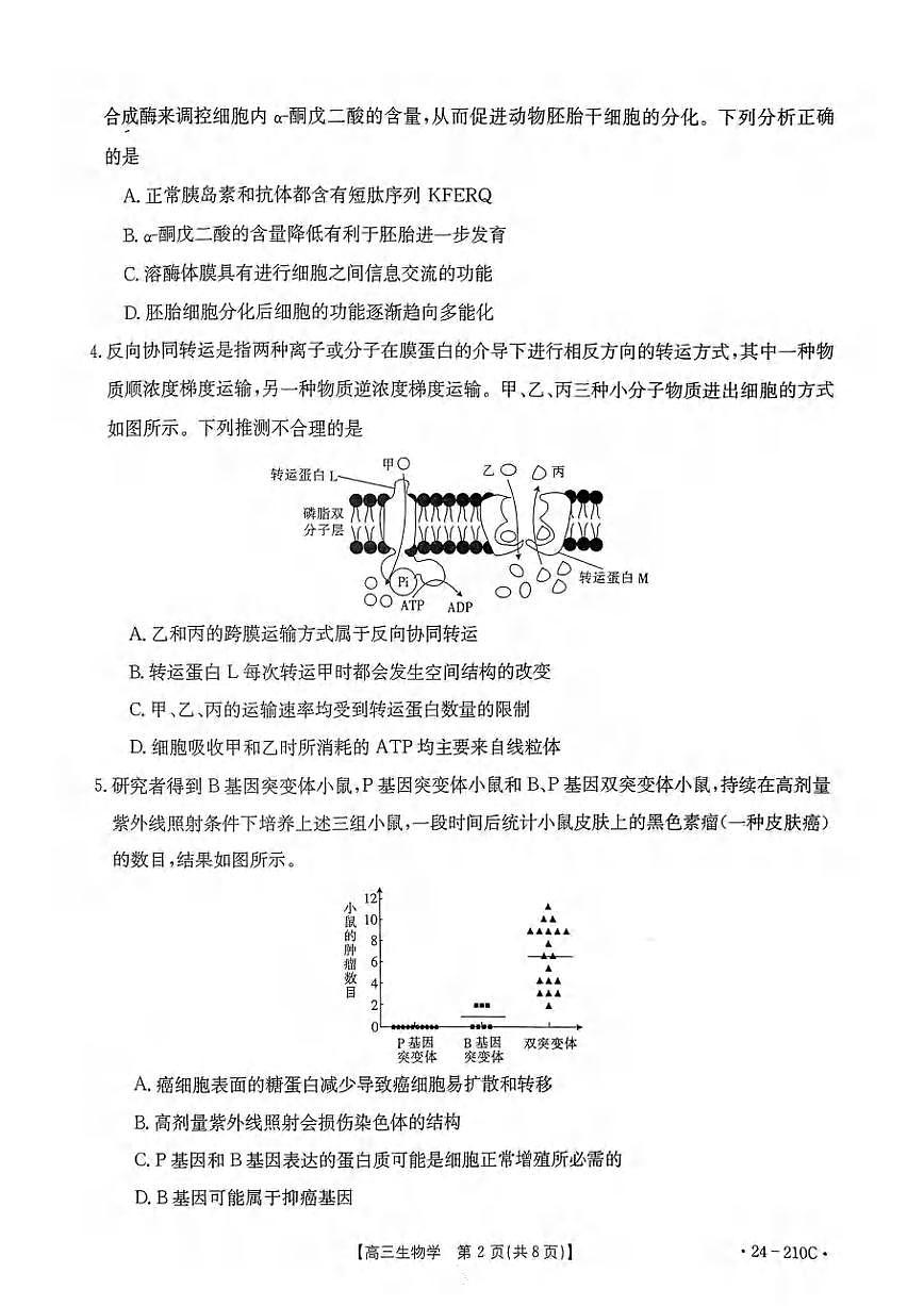 2024届重庆教育联盟高三上(12月考)-生物试题（含答案）第2页
