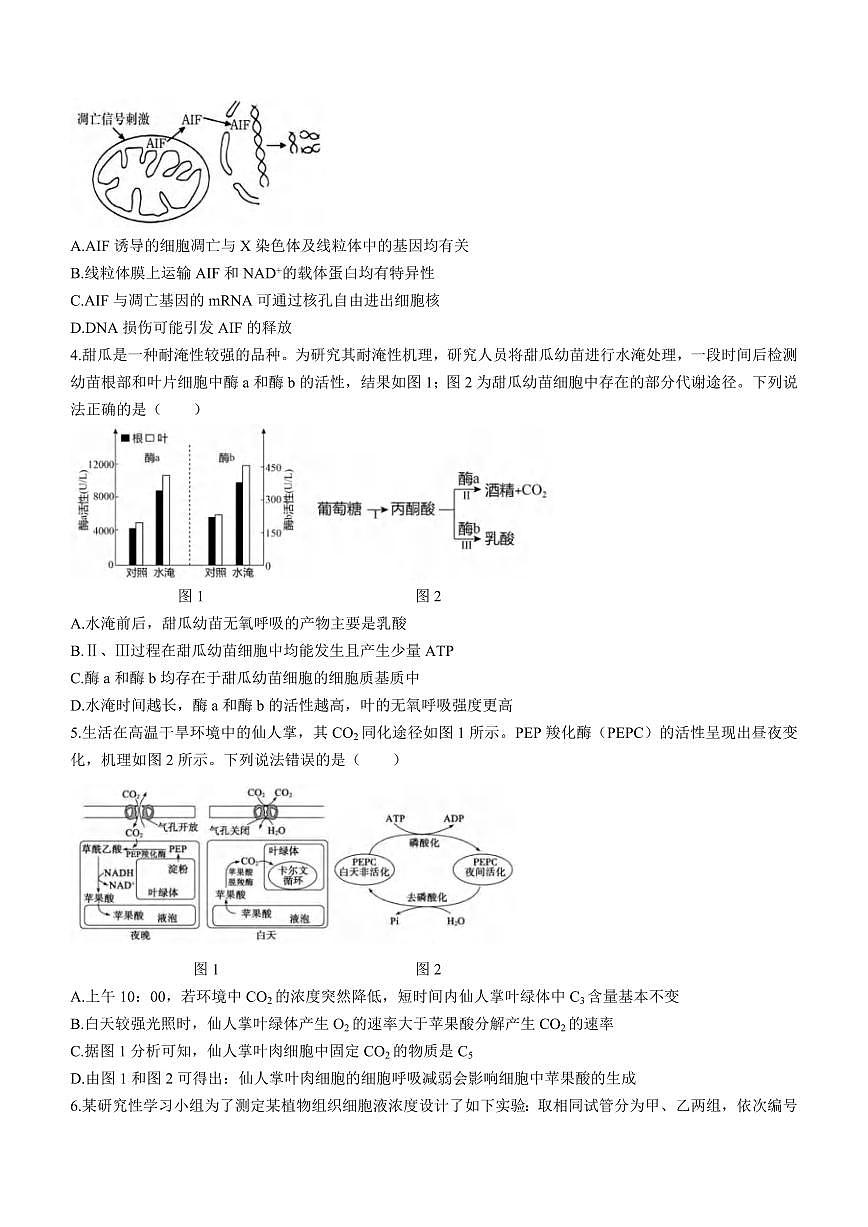 2024届重庆三校联考高三上(12月考)-生物试题（含答案）第2页