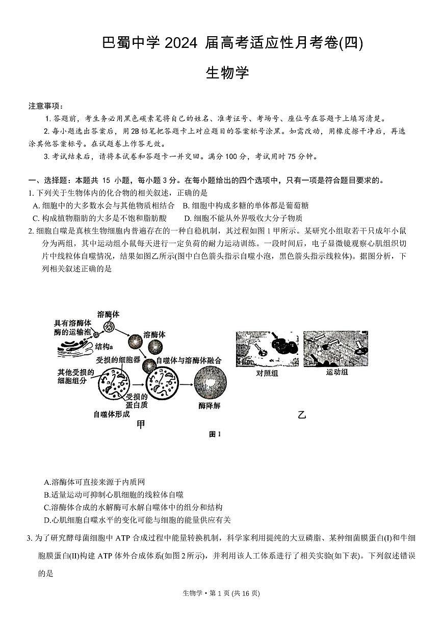 2024届重庆市巴蜀中学高三上(11月)-生物试题（含答案）第1页