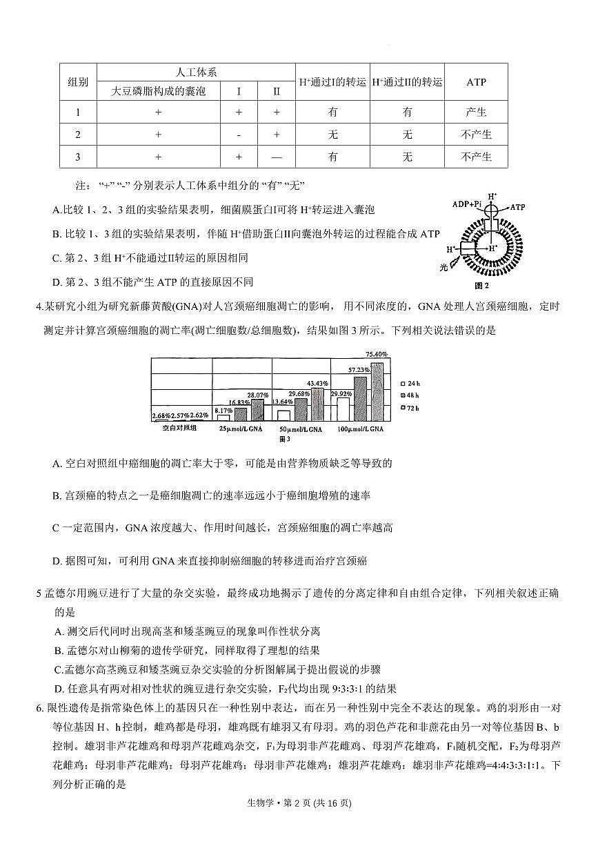 2024届重庆市巴蜀中学高三上(11月)-生物试题（含答案）第2页