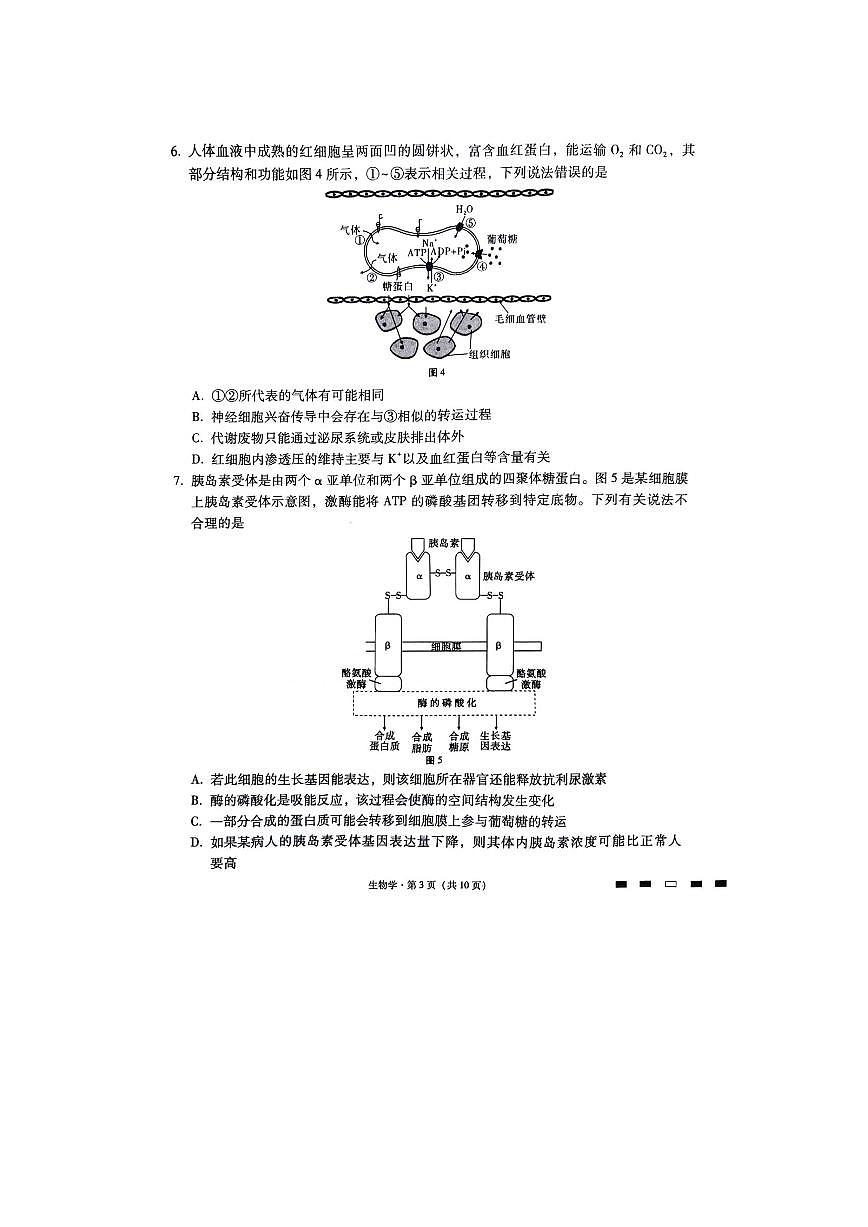 2024届重庆市巴蜀中学高三下(2月)-生物试题（含答案）第3页