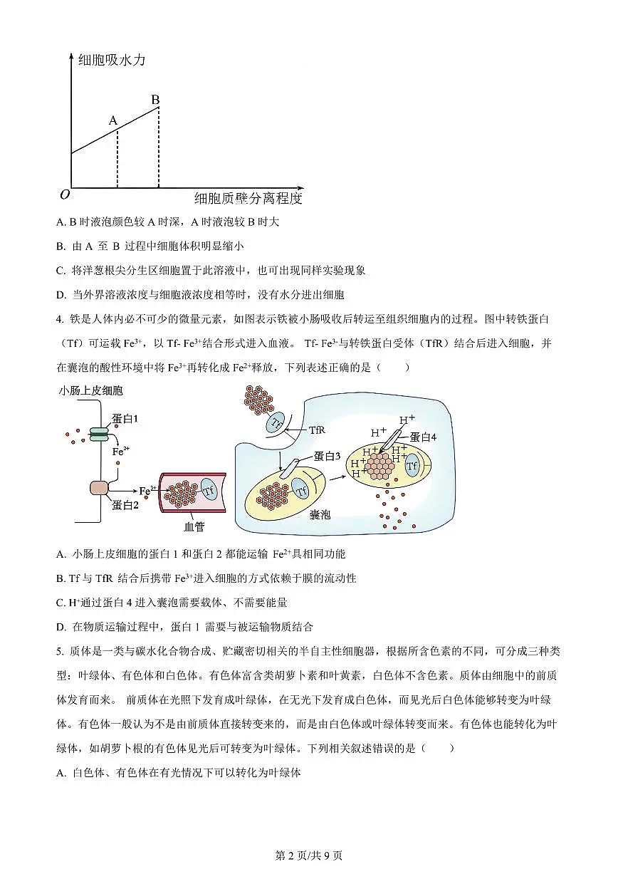 2024届重庆市康德卷高考模拟调研卷（三）-生物（含答案）第2页
