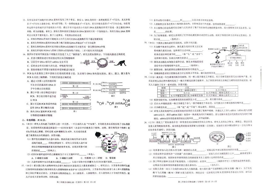 2024届重庆市康德卷高三第三次联合诊断检测-生物试卷（含答案）第2页