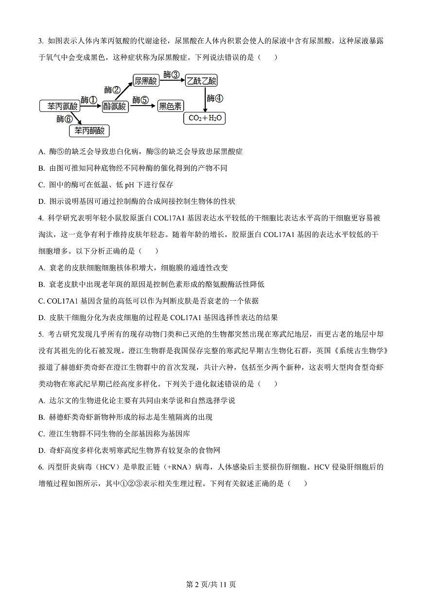 2024届重庆市梁平区高三上(12月考)-生物试题（含答案）第2页