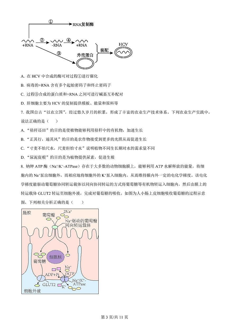 2024届重庆市梁平区高三上(12月考)-生物试题（含答案）第3页