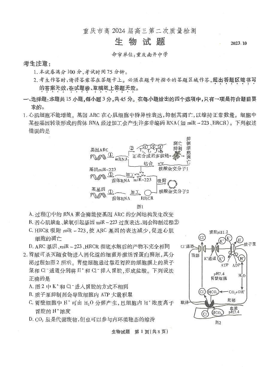 2024届重庆市南开中学高三上(10月考)-生物试题（含答案）第1页