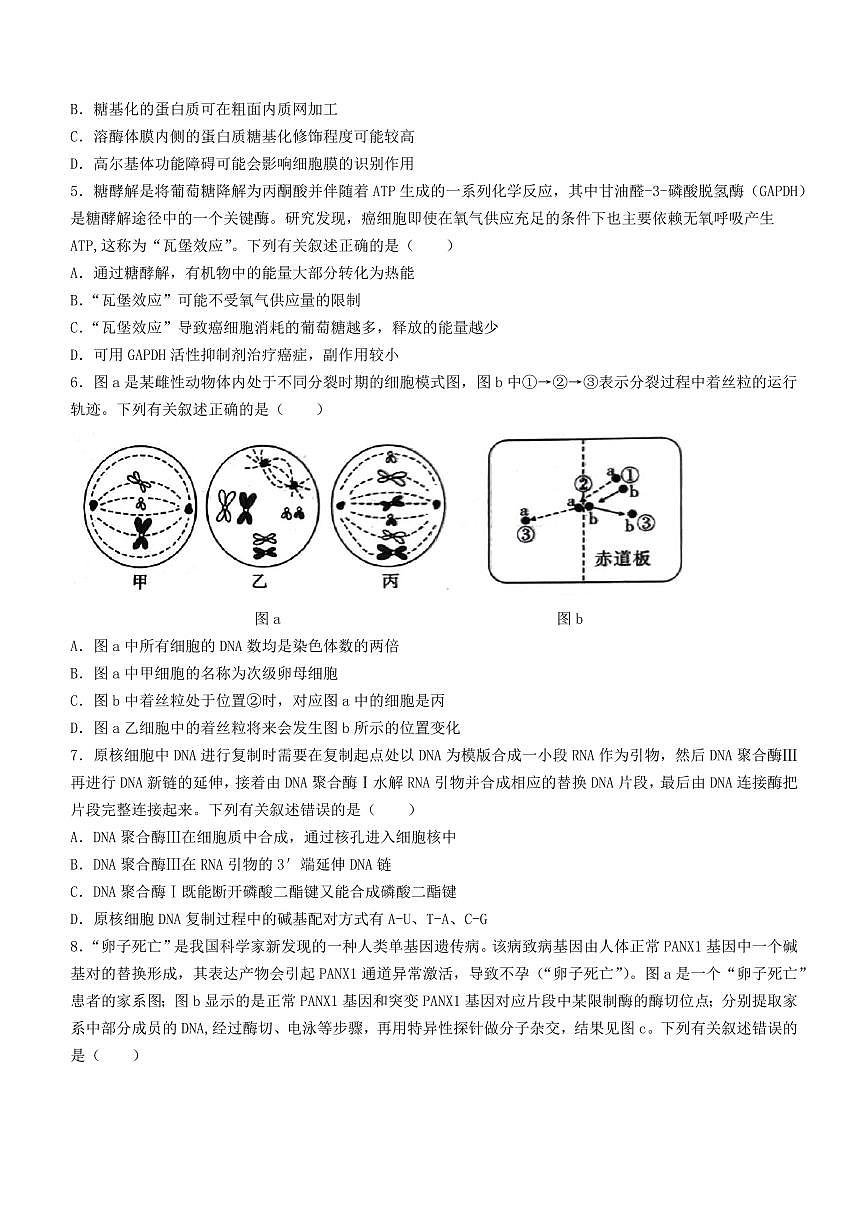2024届重庆市南开中学高三下学期第七次质量检测-生物试卷（含答案）第2页