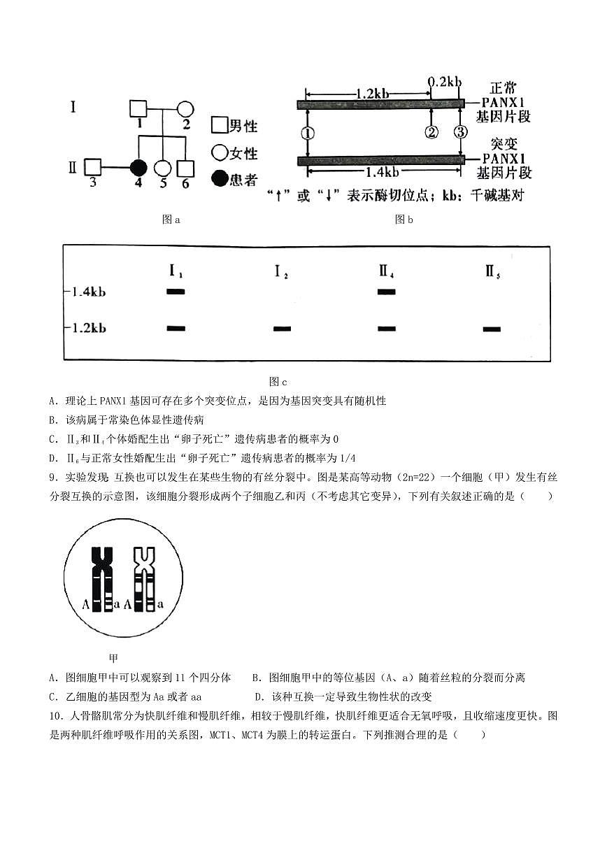 2024届重庆市南开中学高三下学期第七次质量检测-生物试卷（含答案）第3页