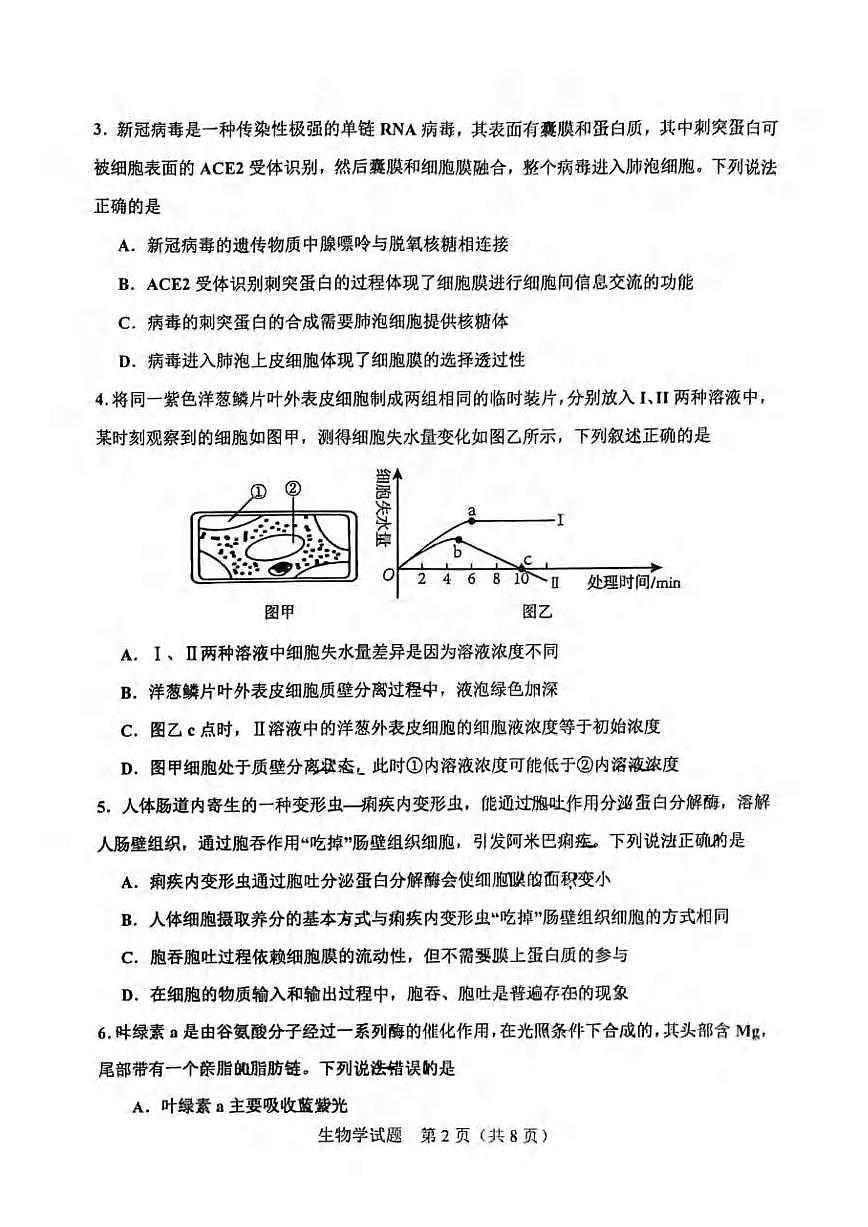 2024届重庆市渝中区高三上(11月期中)-生物试题（含答案）第2页