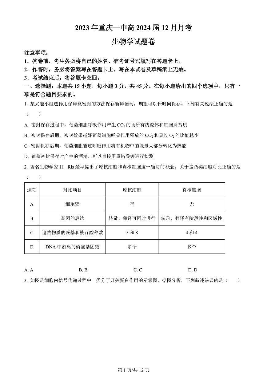 2024届重庆市一中高三上(12月)-生物试题（含答案）第1页