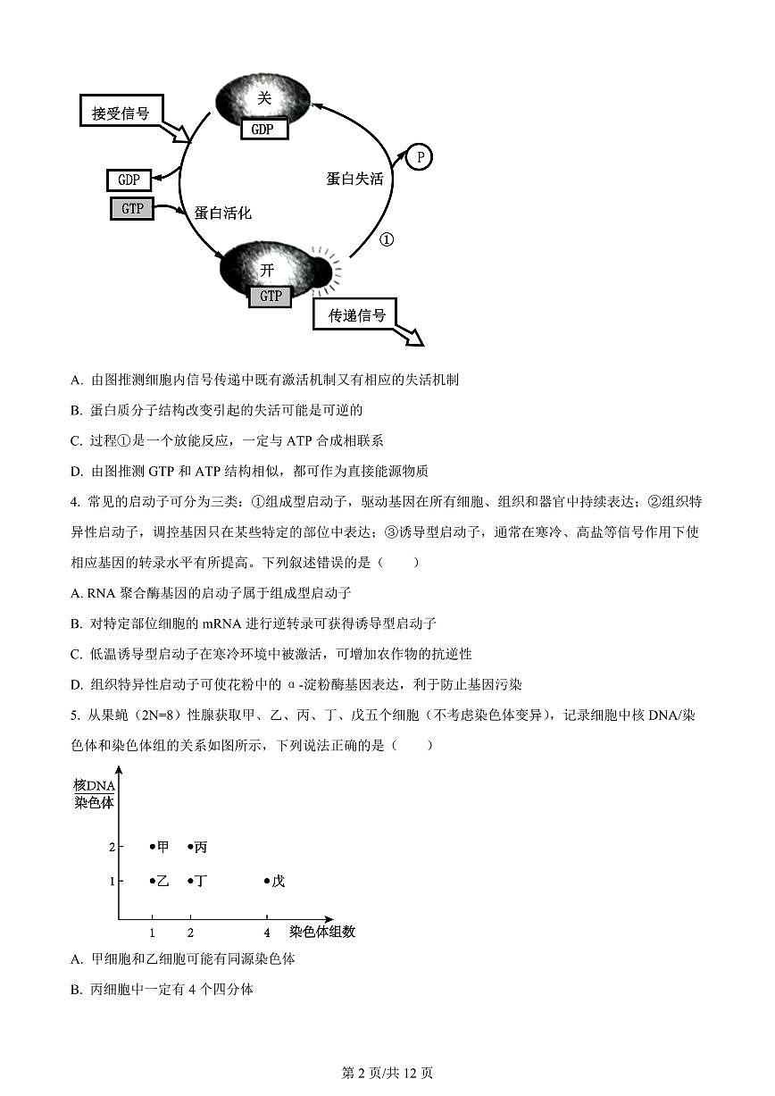 2024届重庆市一中高三上(12月)-生物试题（含答案）第2页