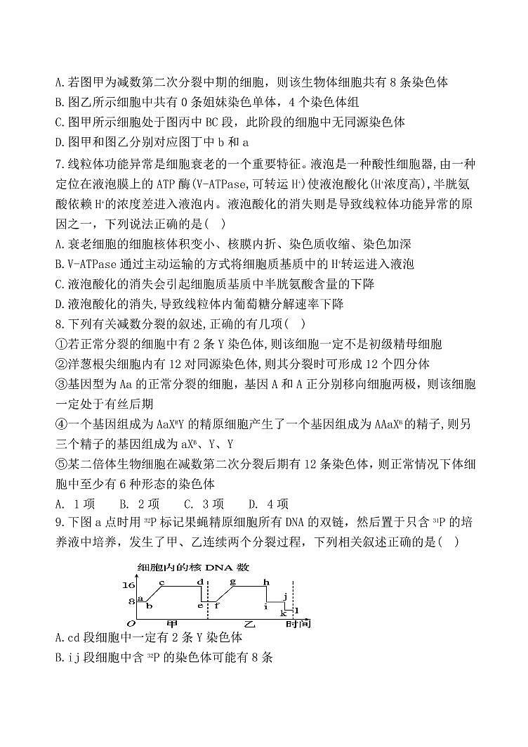 2024届重庆市渝北中学高三上(11月联考)-生物试题（含答案）第3页