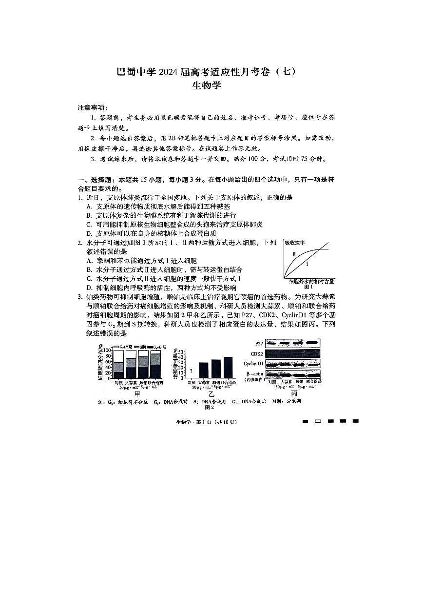 2024重庆市巴蜀中学高三下学期适应性月考（七）-生物试卷（含答案）第1页