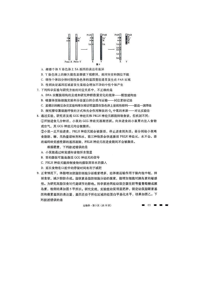 2024重庆市巴蜀中学高三下学期适应性月考（七）-生物试卷（含答案）第3页