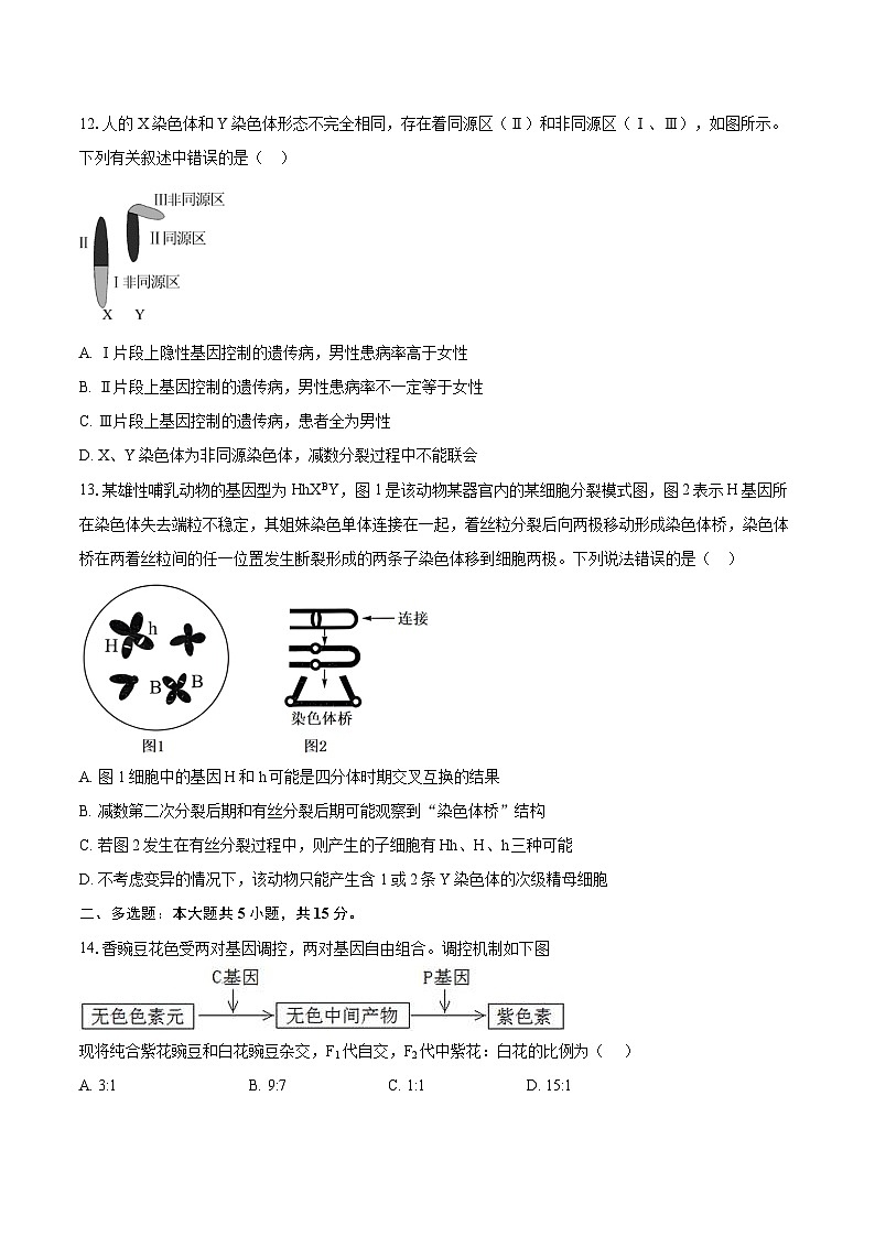 河北省沧州市五校2024-2025学年高一下学期3月联考生物试题（Word版附答案）第3页