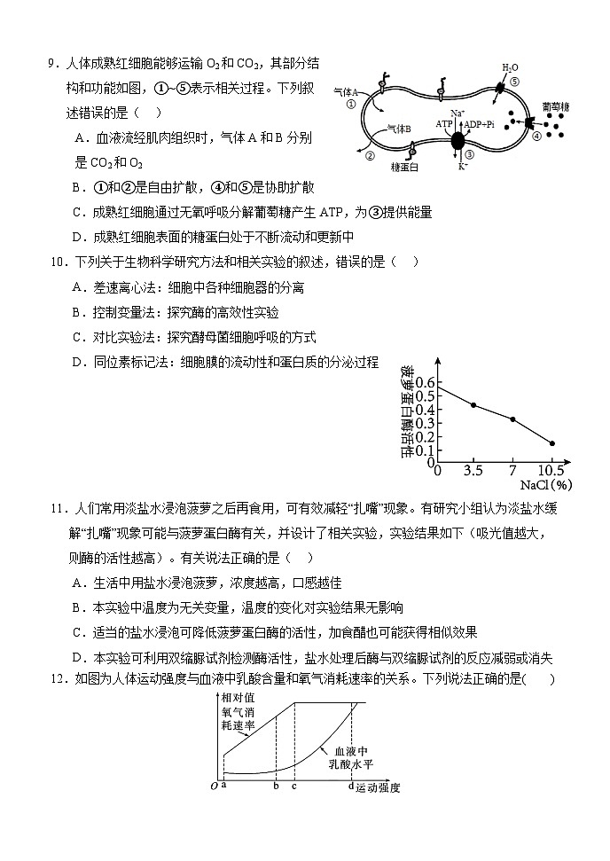 湖北省荆州市沙市中学2024-2025学年高一下学期3月月考生物试题（Word版附答案）第3页