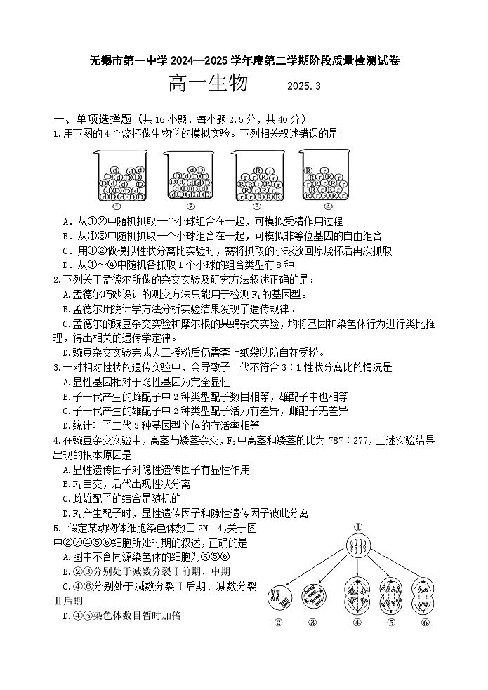 江苏省无锡市第一中学2024-2025学年高一下学期3月检测生物试题（Word版附答案）第1页