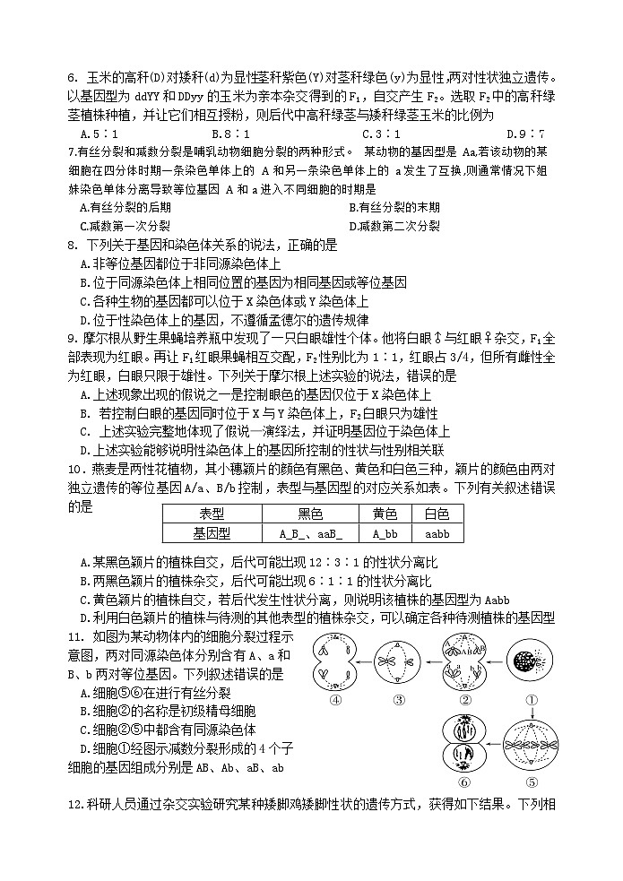 江苏省无锡市第一中学2024-2025学年高一下学期3月检测生物试题（Word版附答案）第2页