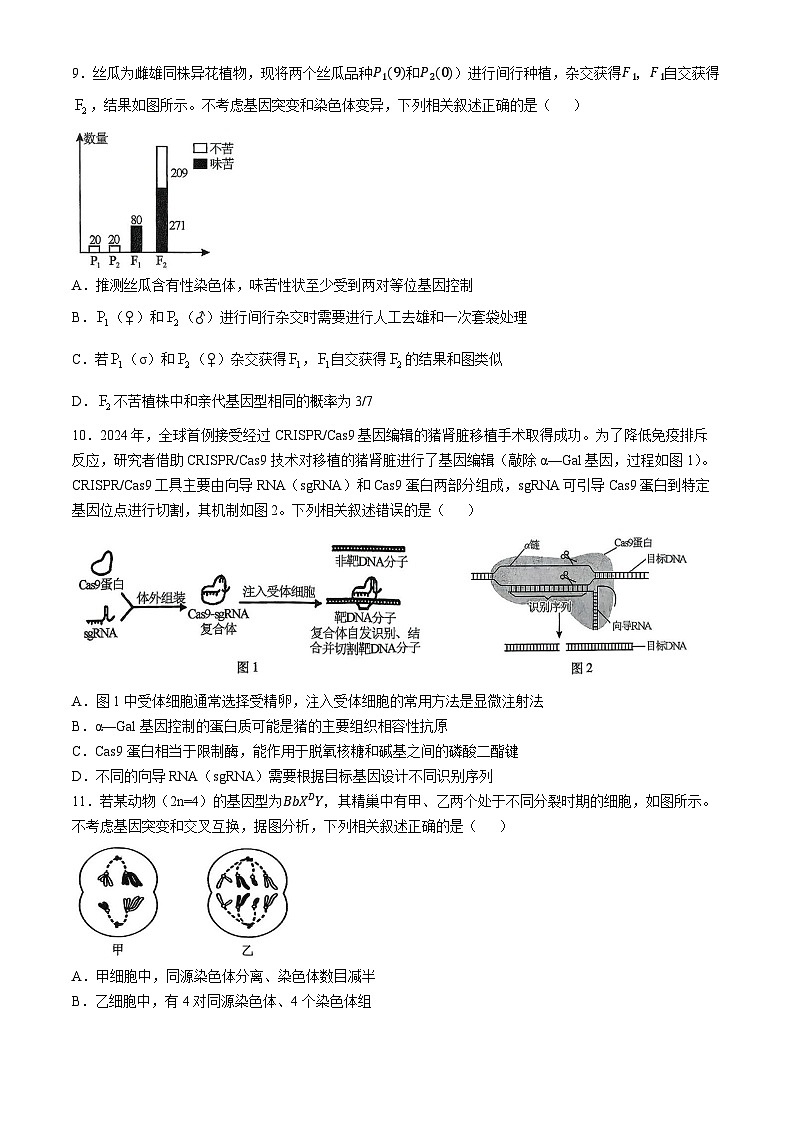 重庆市2025届高三下学期第七次质量检测生物试卷（Word版附答案）第3页