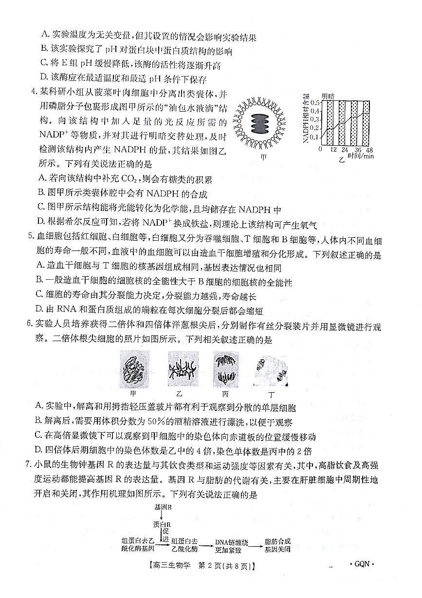 生物试题第2页
