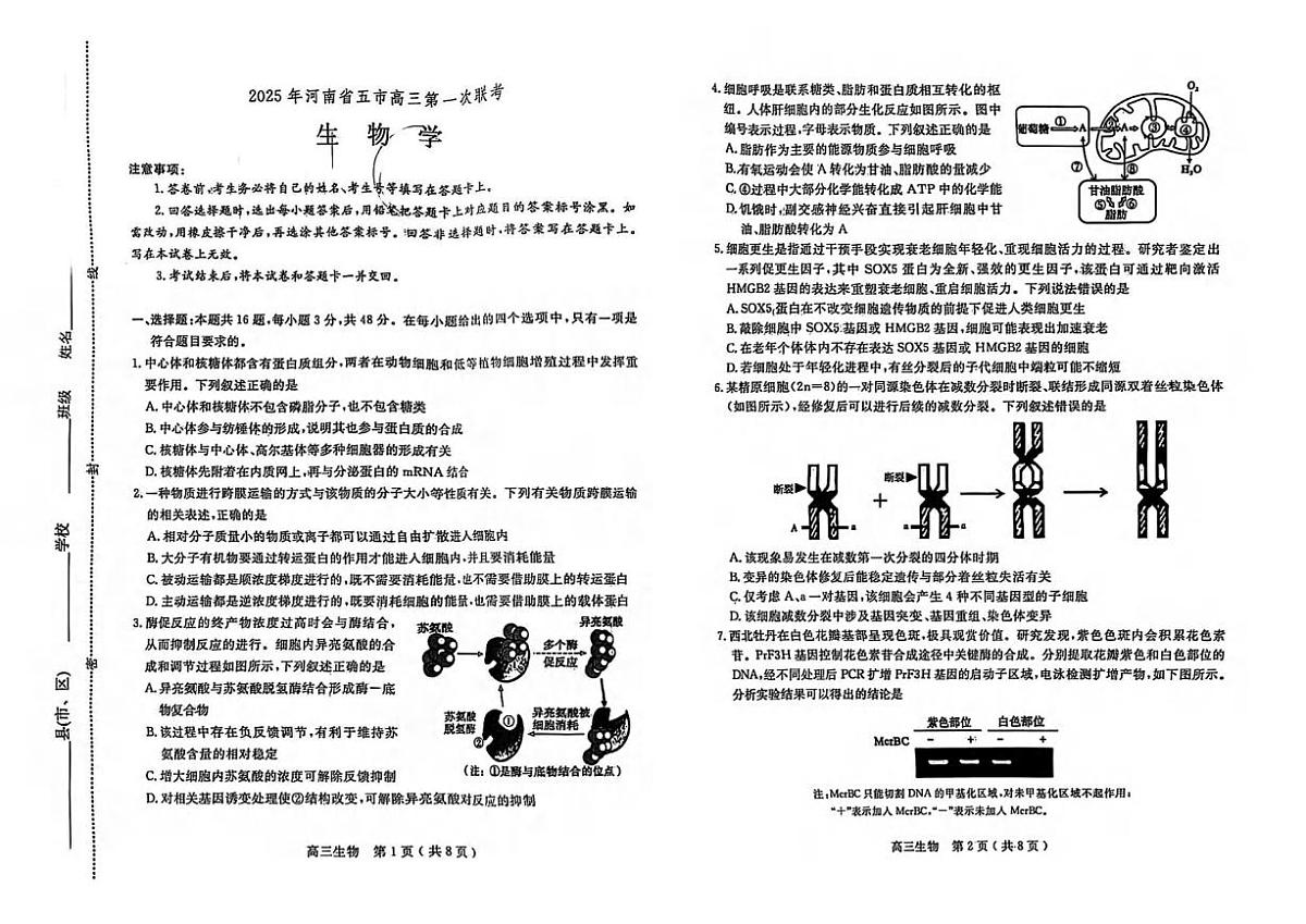 生物丨河南省五市2025届高三下学期3月第一次联考生物试卷及答案第1页