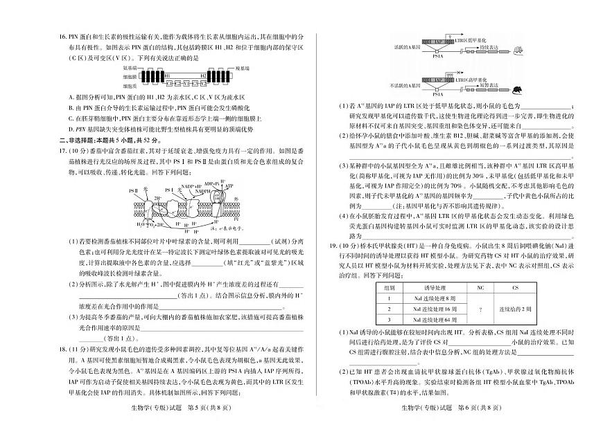 生物丨天一大联考陕西省山西省2025高三下学期3月高中毕业班阶段性测试（六）生物试卷及答案第3页