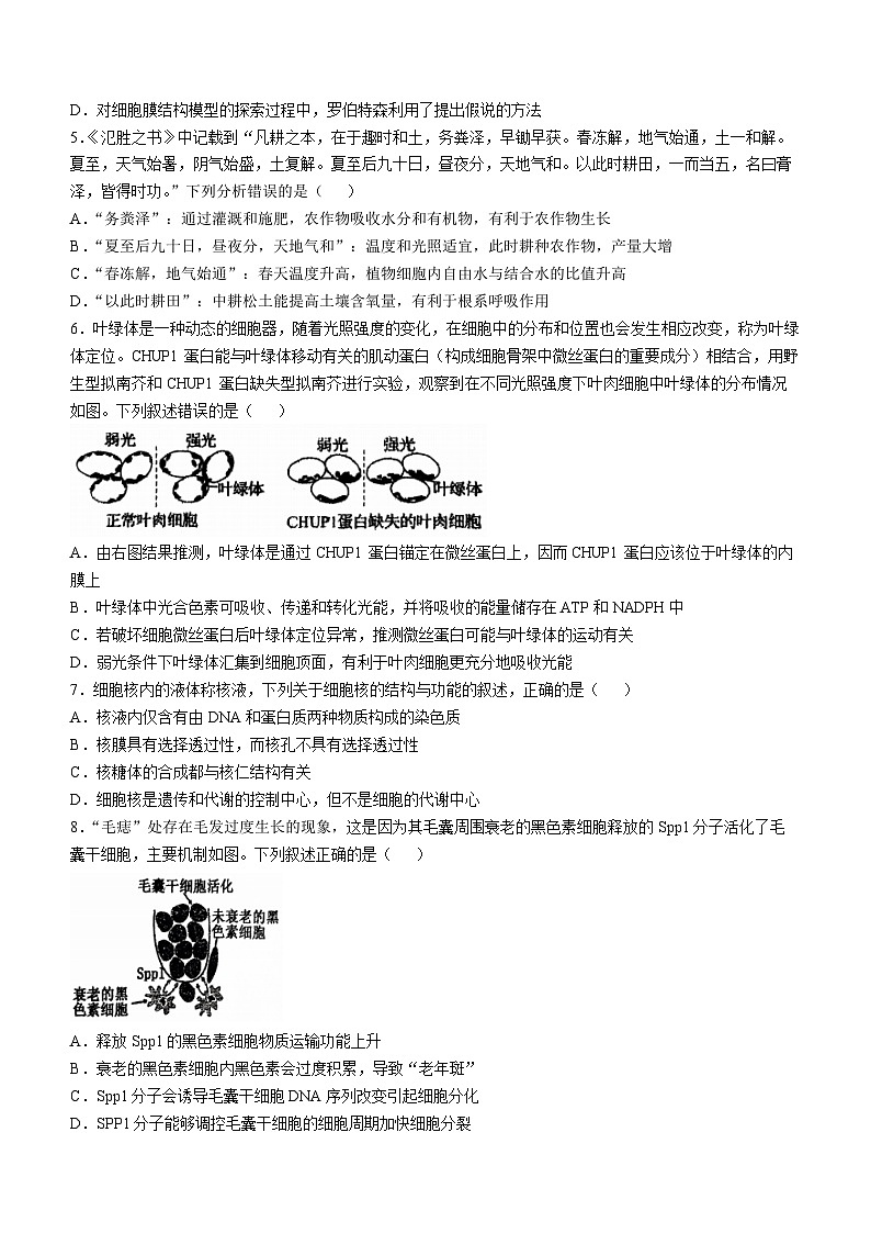 辽宁省七校协作体2024-2025学年高三上学期11月期中联考试题 生物 Word版含答案第2页