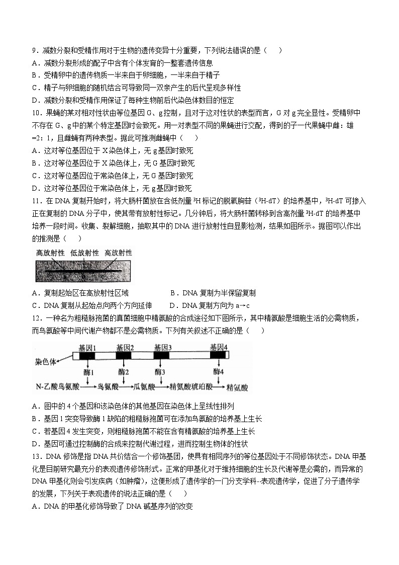 辽宁省七校协作体2024-2025学年高三上学期11月期中联考试题 生物 Word版含答案第3页