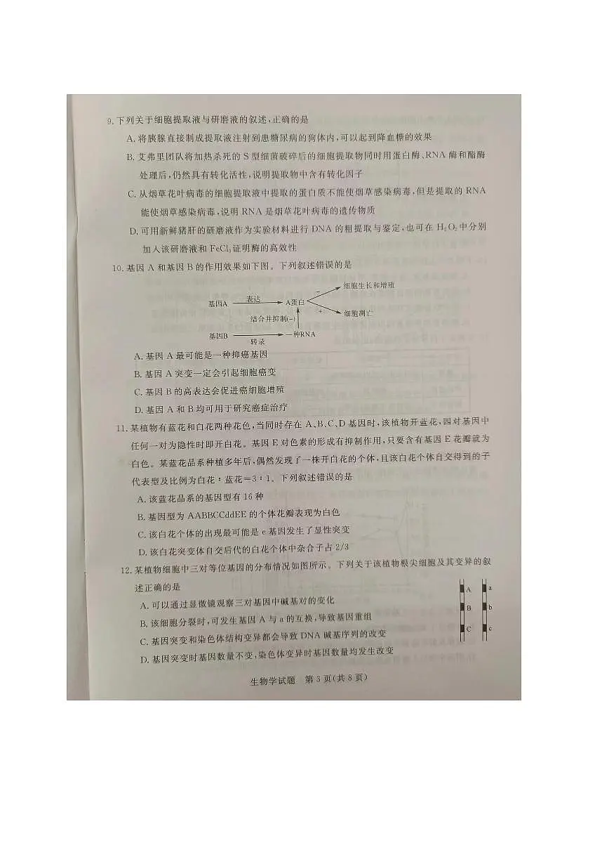 2024届福建省百校联考高三上学期12月联考试卷-生物试题（含答案）第3页